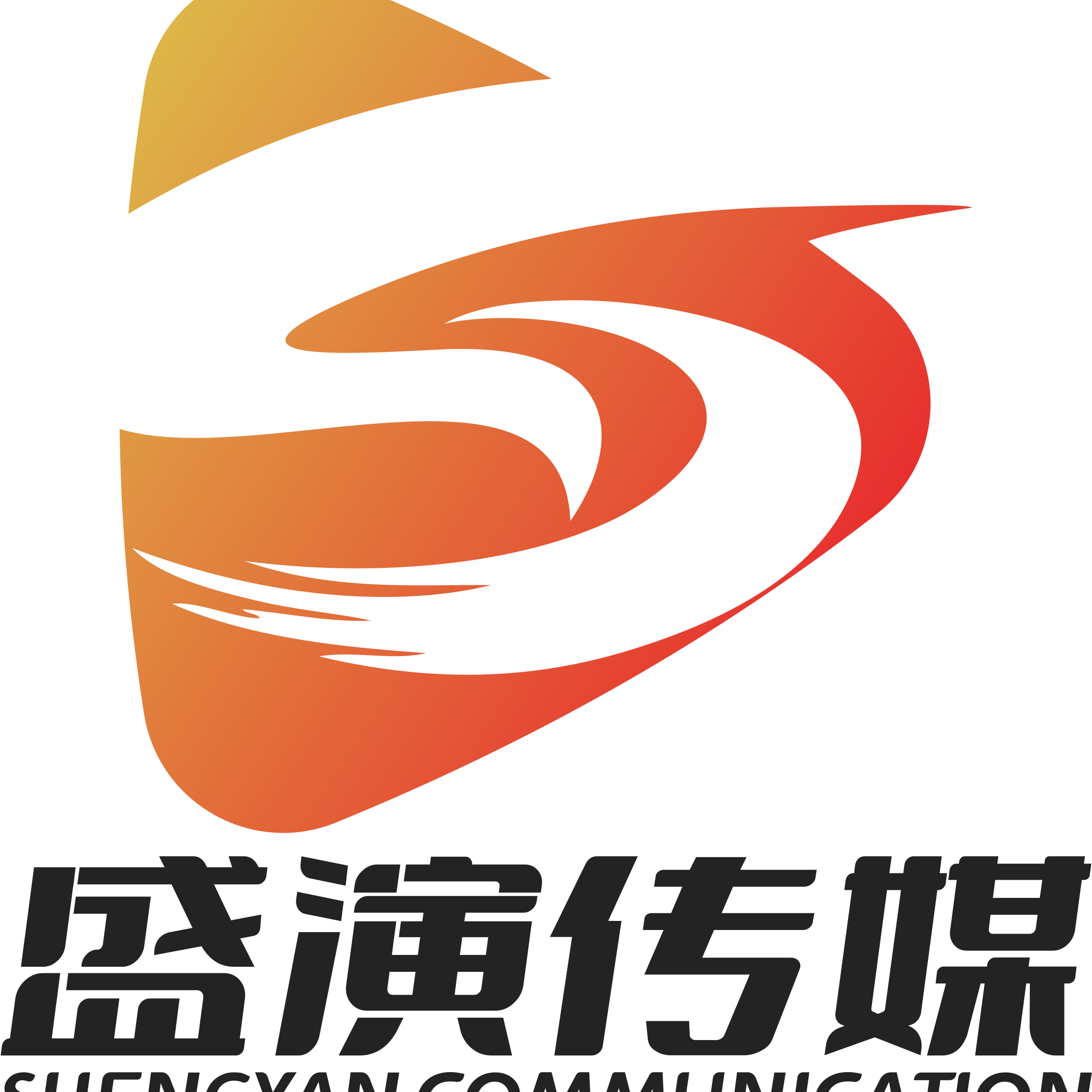 深圳市盛演文化传媒有限公司