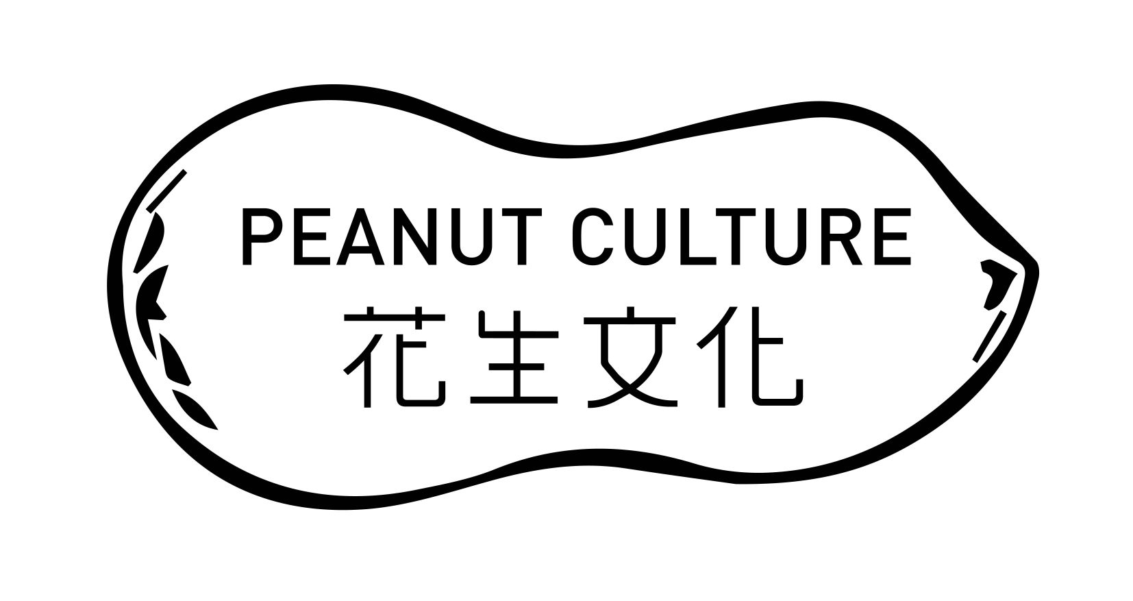 厦门花生互动文化传播有限公司